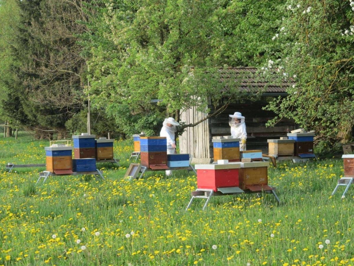 Das Kleine Paradies Purgen Экстерьер фото
